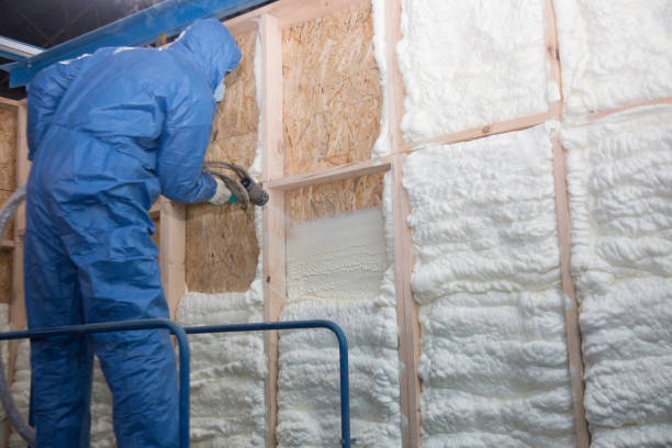 Best Eco-Friendly Insulation Solutions  in Mount Clemens, MI